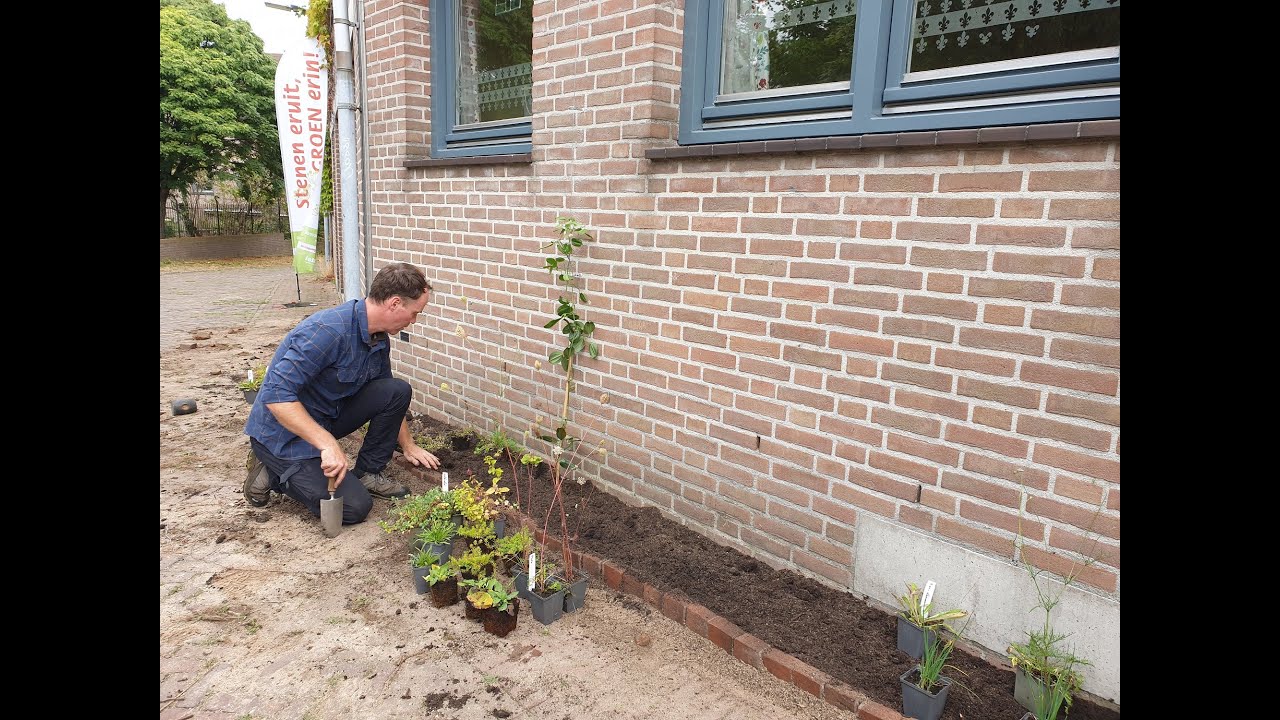 Zo maak jij je eigen geveltuin