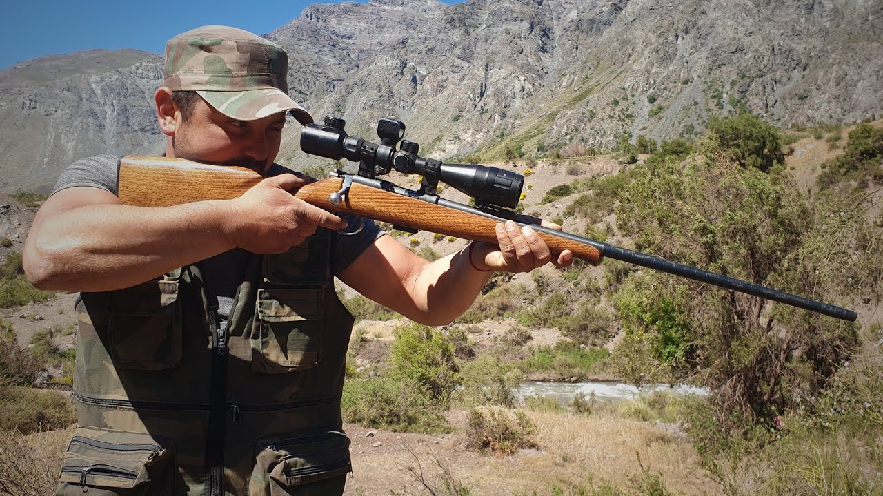 CACERIA con rifle a bala CZ a LARGA DISTANCIA!! Caza de Conejos | Los Que&ntilde;es Chile