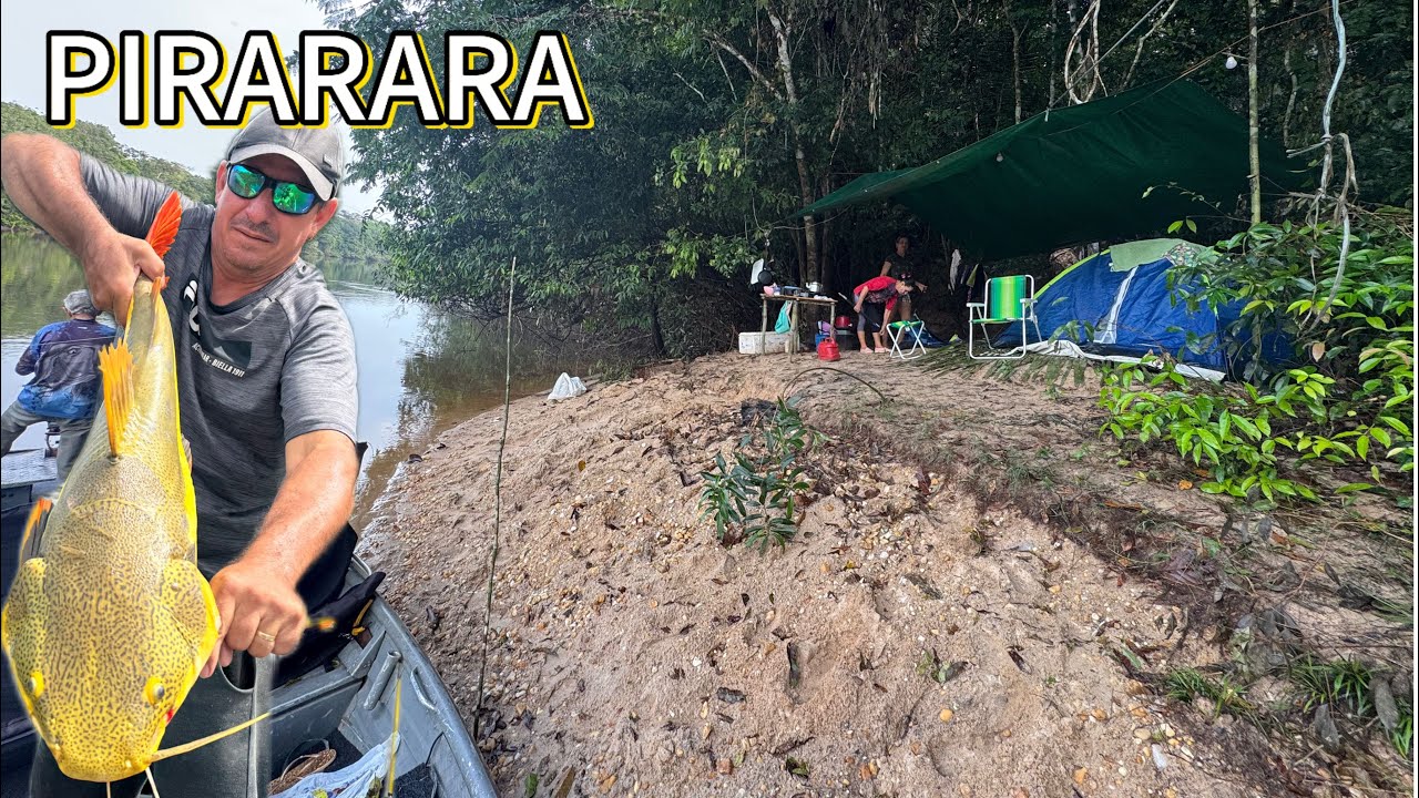 Acampamento e pescaria no rio roosevlt com Pirarara gigante