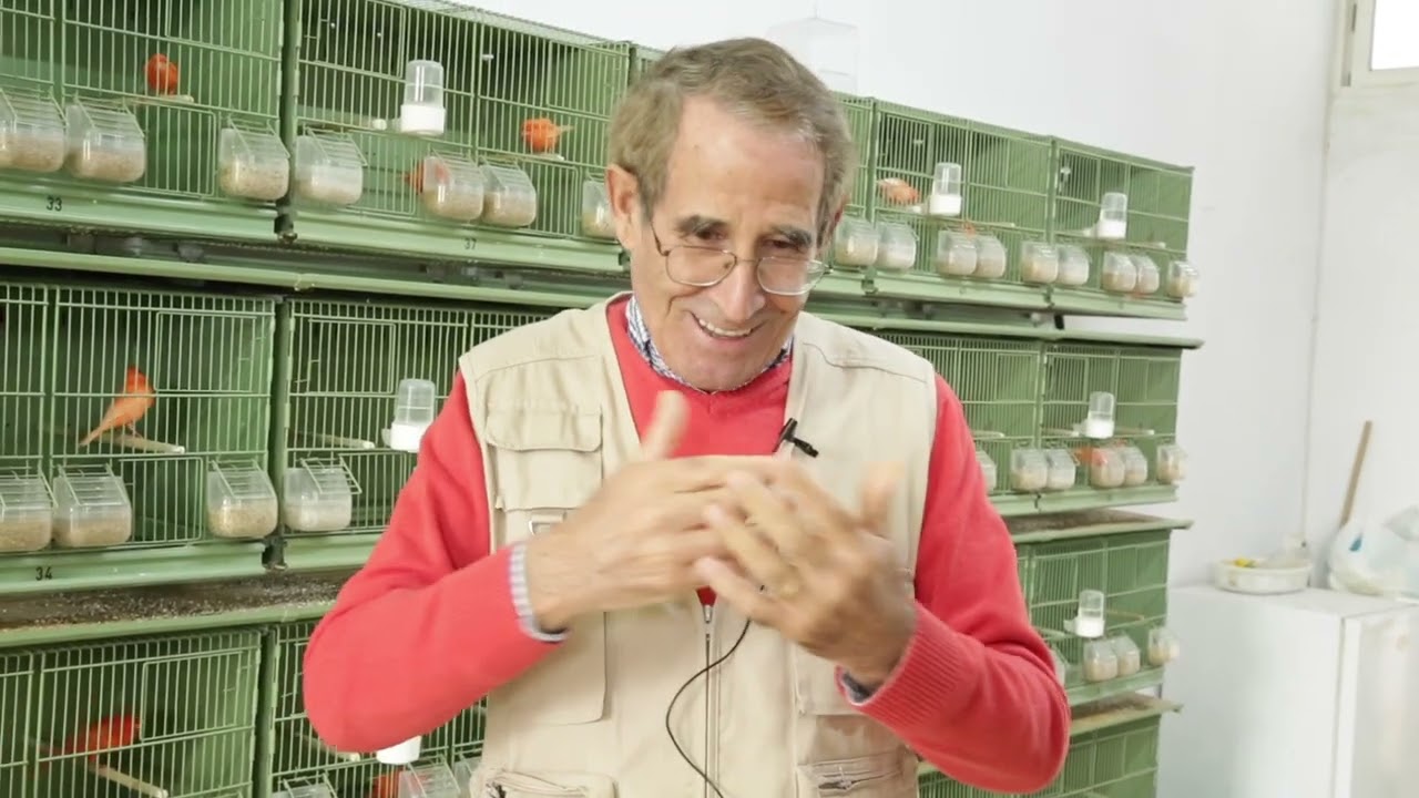 EPOCA DE CONCURSOS Y COMENTARIOS SOBRE PÁJAROS.