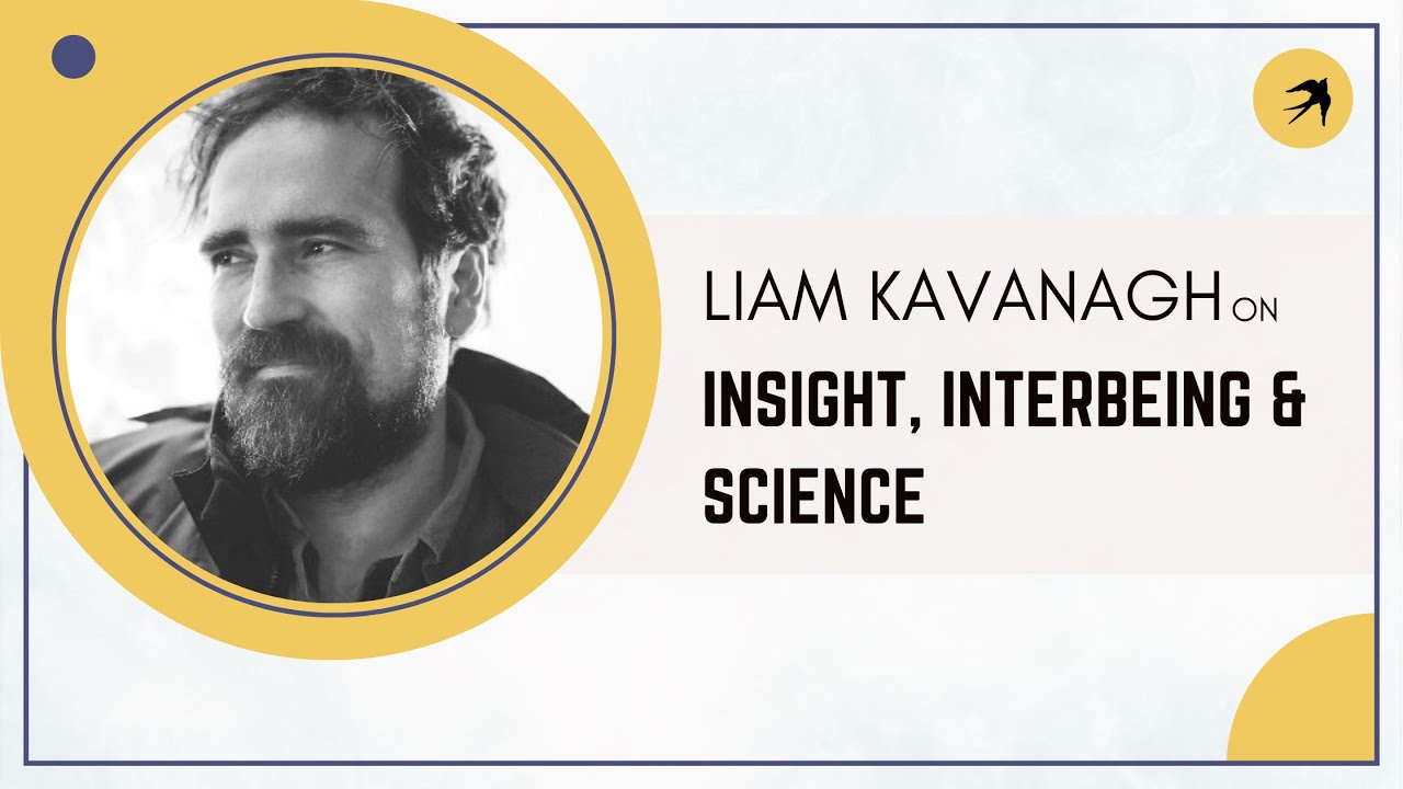 On the Insight, Interbeing and Science Residency with Liam Kavanagh