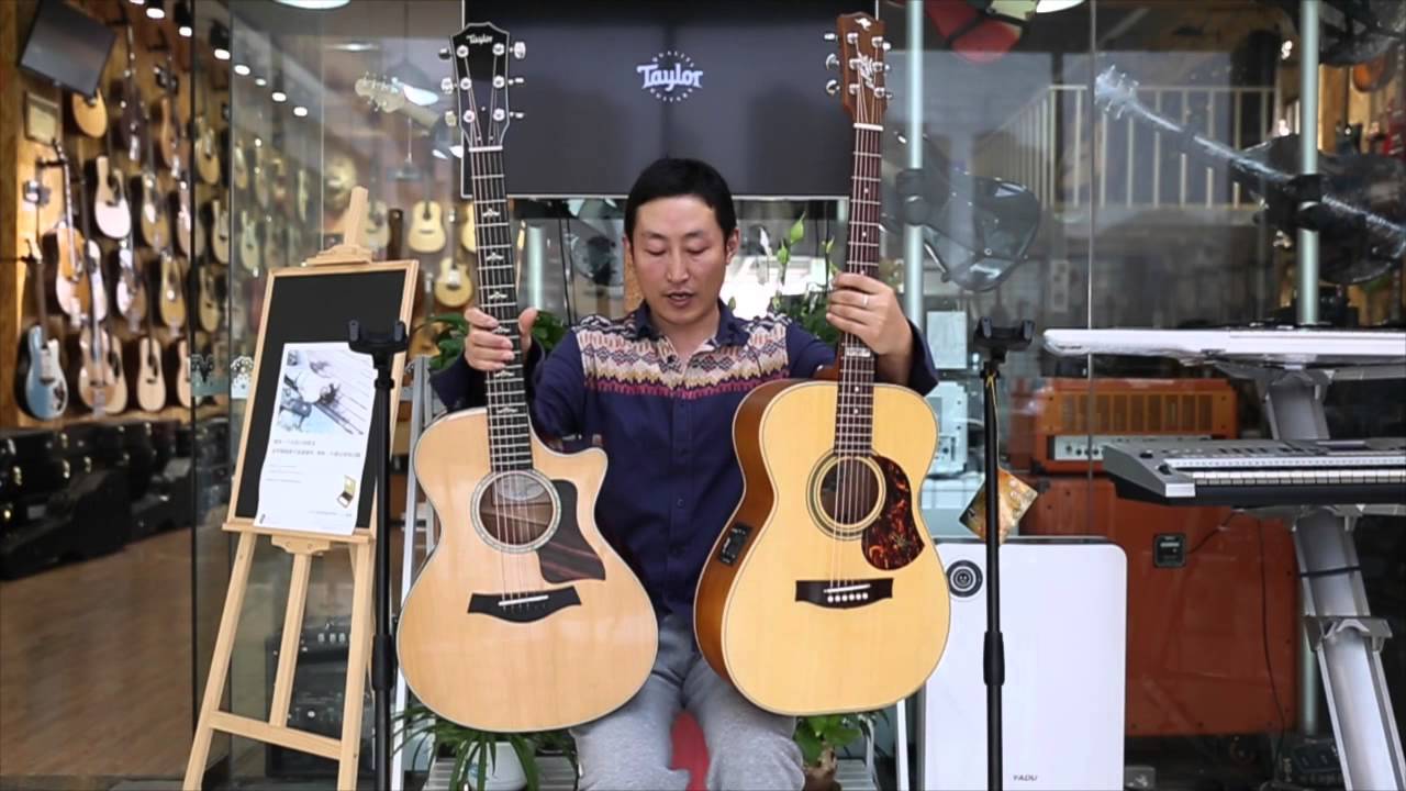 Taylor guitars 612CE vs Maton 808TE FLYMUSIC