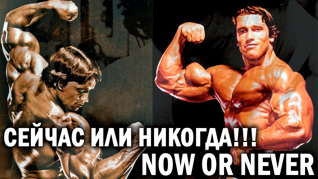ARNOLD SCHWARZENEGGER BODYBUILDING MOTIVATION BODYBUILDING FITNESS MOTIVATION ARNOLD SCHWARZENEGGER