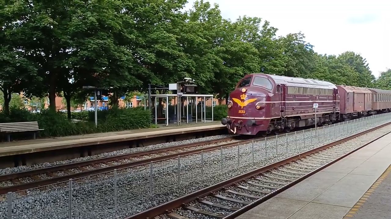 14 Juli 2024. DSB MY 1135 med gammelt banemateriel i fuld fart på Hadsten Station.