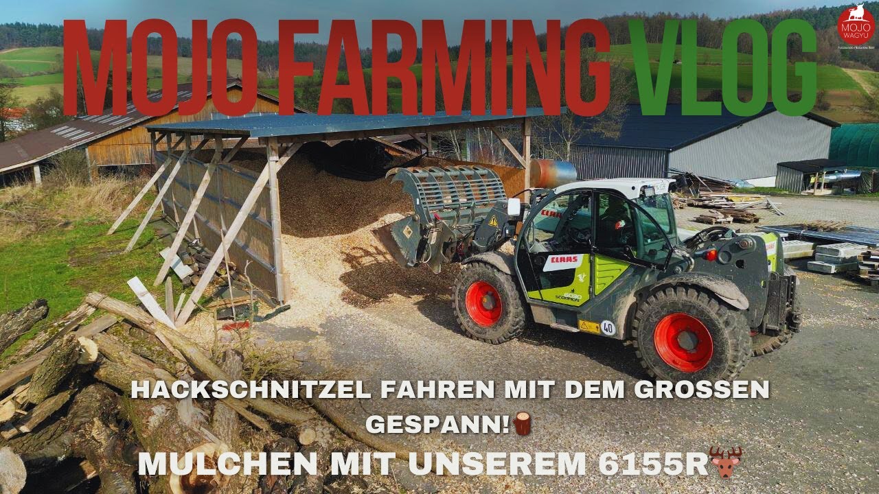 Hackschnitzel fahren mit dem großen Gespann!🪵 & Mulchen mit unserem 6155R! 🦌