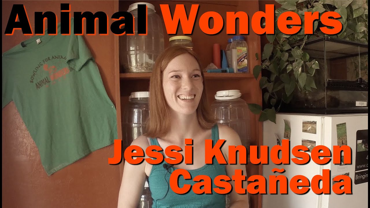 Jessi Knudsen Casta&ntilde;eda // Animal Wonders Montana