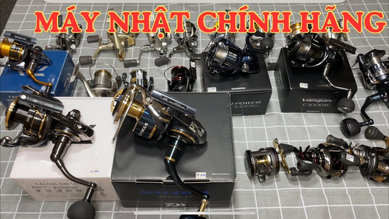 Máy Câu Nhật : Stradic, Vanquish, Twinpower, Satiga, Caldia, Luvias, Ultegra  - Video 1226