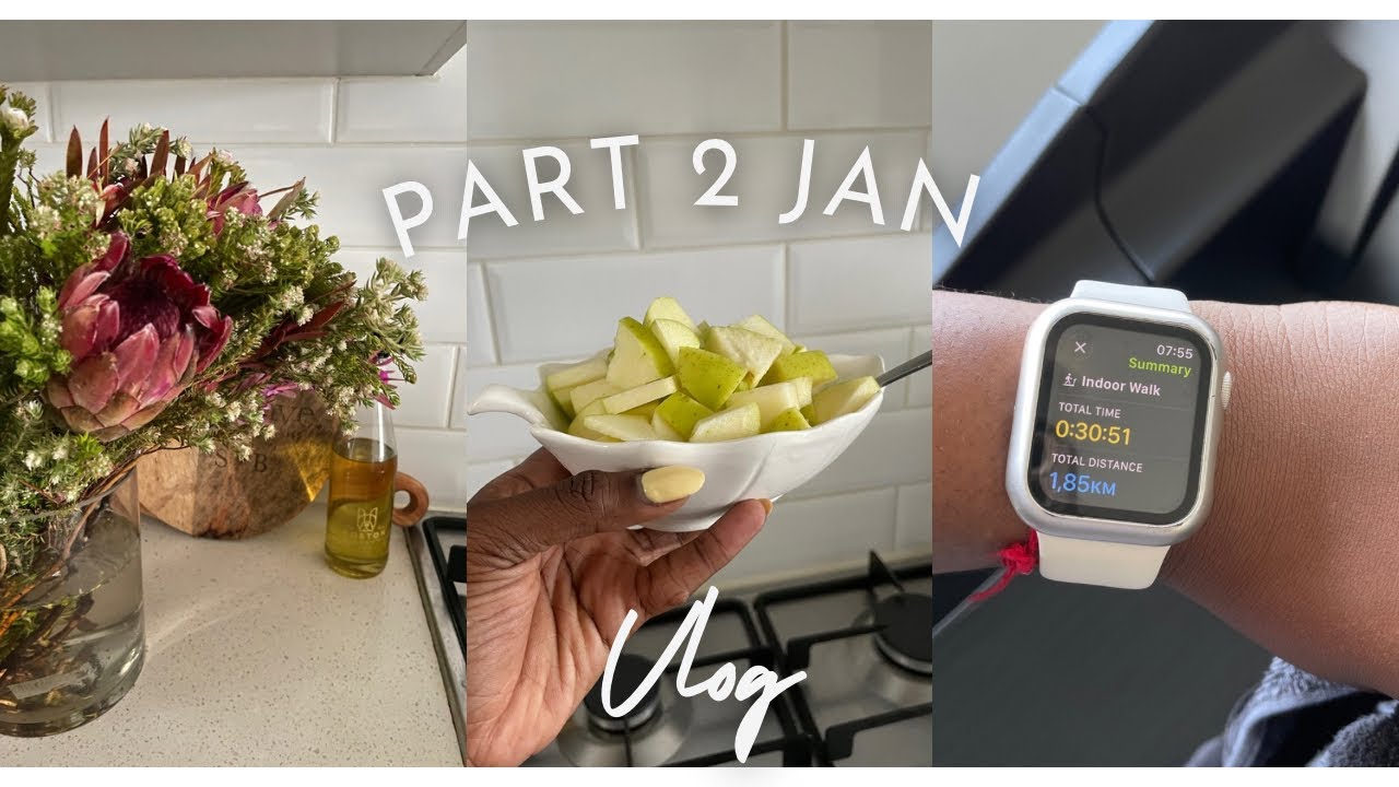 Vlog - January 2026 Recap Part 2 | Food Lovers grocery haul | Pet treats