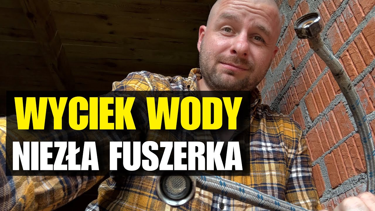COŚ nam ZALEWA łazienke! BIZON pod PŁOTEM-GENIALNY WIDOK #żniwa2025 #polskawieś