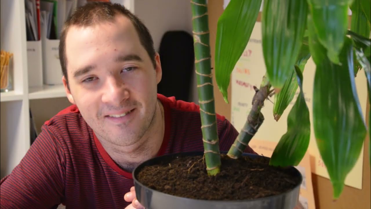 Jakub i jego przygoda z ORW