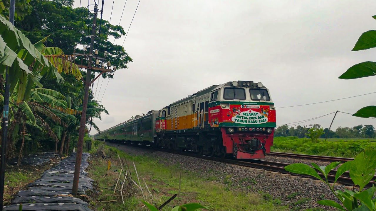 CC 206 13 13 feat KA 153 RANGGAJATI | Jember - Cirebon 