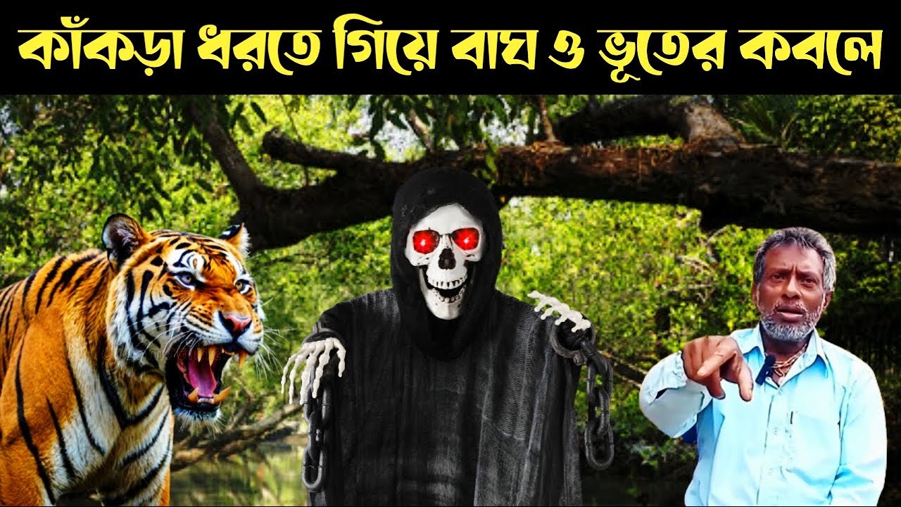 বাঘ ও ভূতের থেকে বাঁচার গোপন উপায় || Tiger And Phantoms In Sundarban