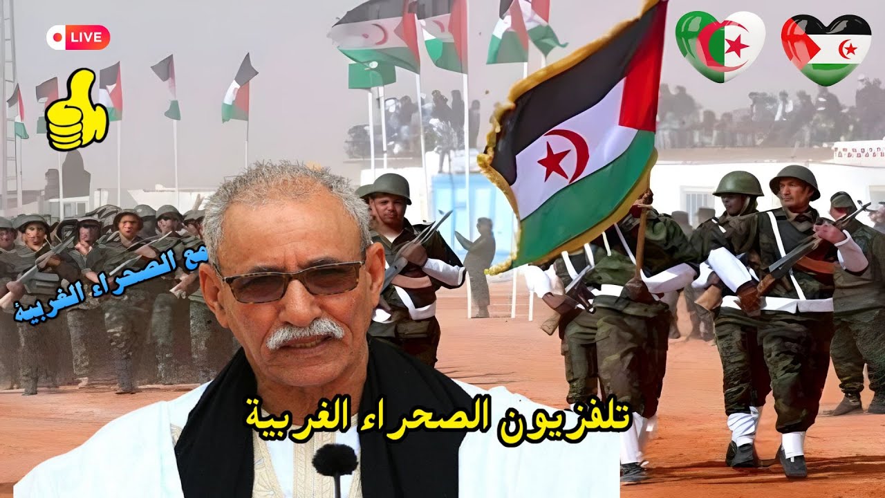 🔴 Rasd Tv EN Directo التلفزيون الوطني الصحراوي 🇪🇭 🇪🇭 بث مباشر  🇩🇿   🇪🇭👍✌🚀🚀💥