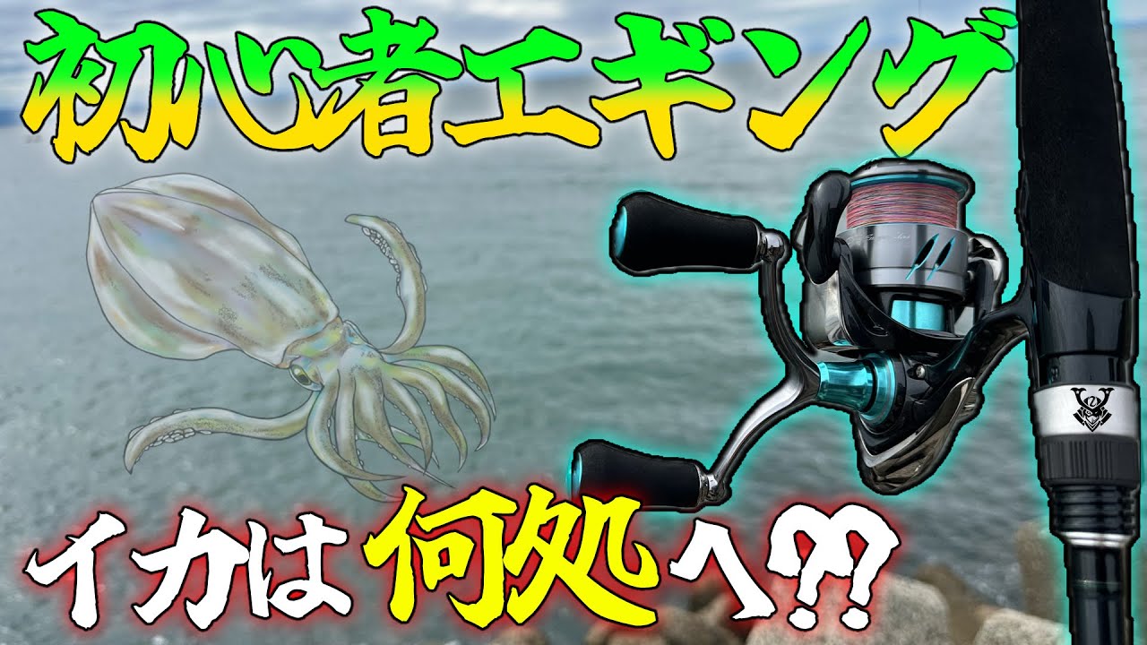 【釣り】初めてのエギングに挑戦！？狙いはアオリイカ🦑釣果は・・・イカに！？