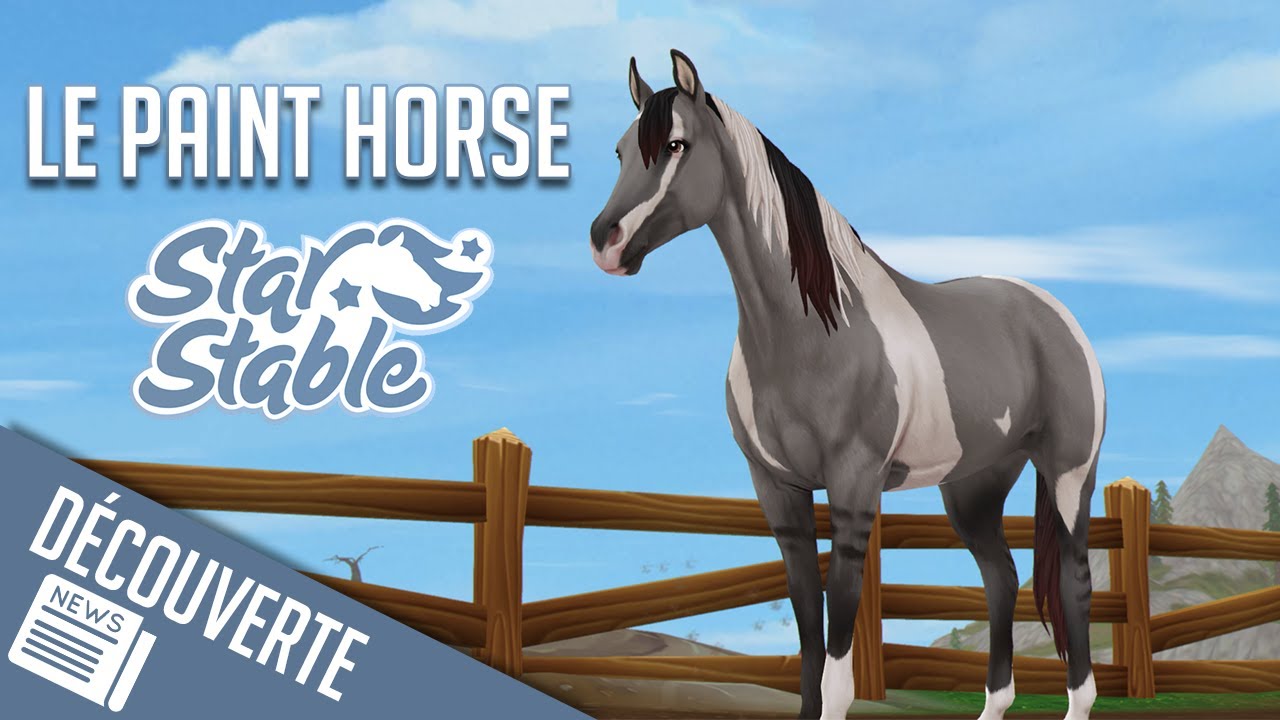 ACHAT DU PAINT HORSE | Star Stable - SSO