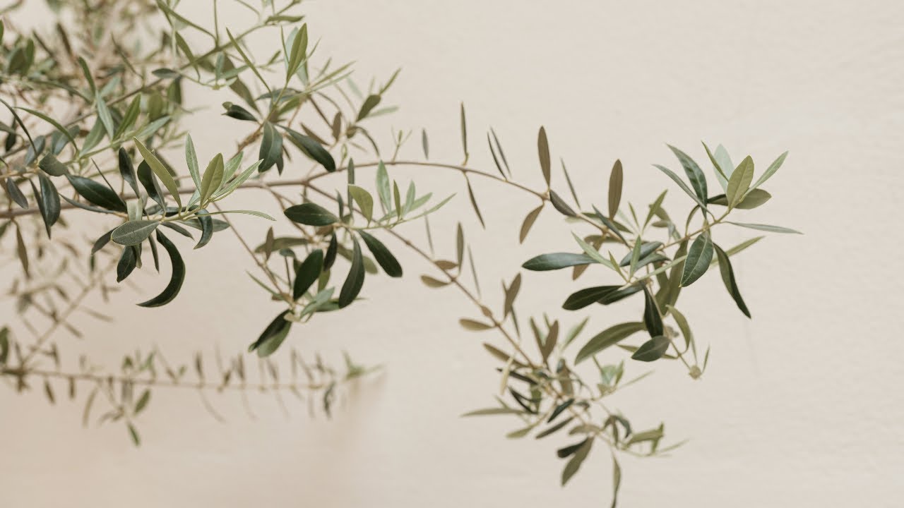 Chill RNB/Gospel Playlist Vol. 1 