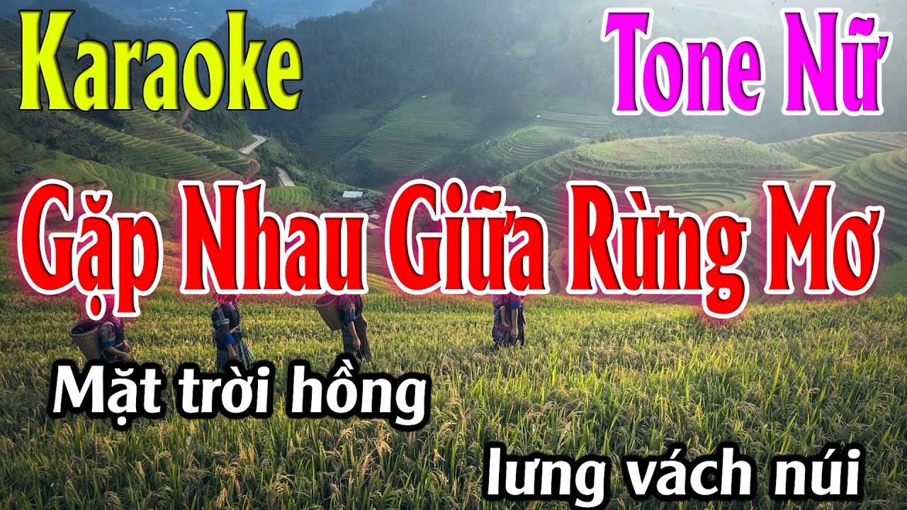 Gặp Nhau Giữa Rừng Mơ Karaoke Tone Nữ ( Cm ) Beat Mới | Karaoke Lâm Organ