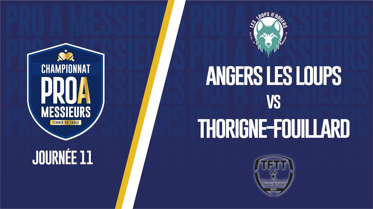 PRO A MESSIEURS | J11 | ANGERS LES LOUPS - THORIGNE-FOUILLARD TT