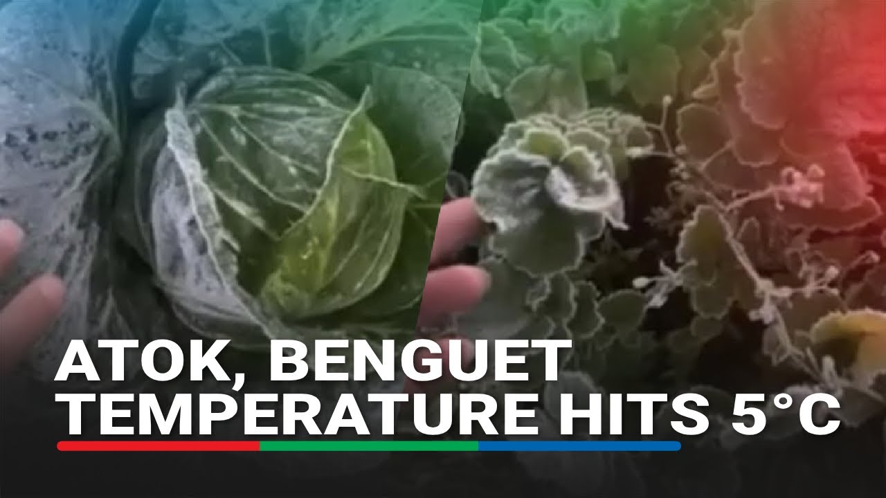 Temperatura sa Atok, Benguet bumagsak sa 5&deg;C, mga pananim at sasakyan nabalot sa yelo | ABS-CBN News
