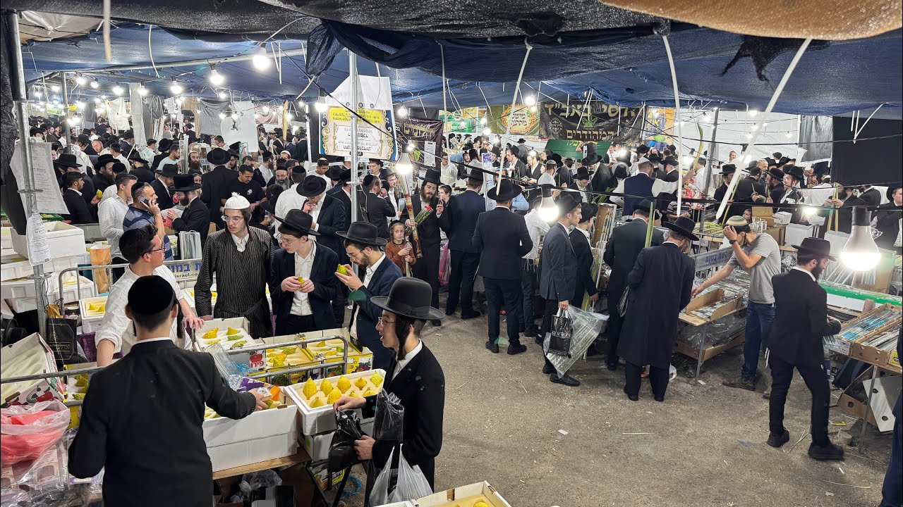 Sukkos Vibes in Jerusalem Part 2 Lulav & Esrog Fair 2024 אווירת סוכות ‏בירושלים חלק 2 שוק ד׳ מינים