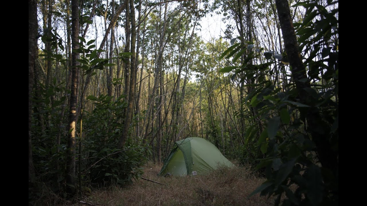 4 Freaky TRUE Camping Horror Stories