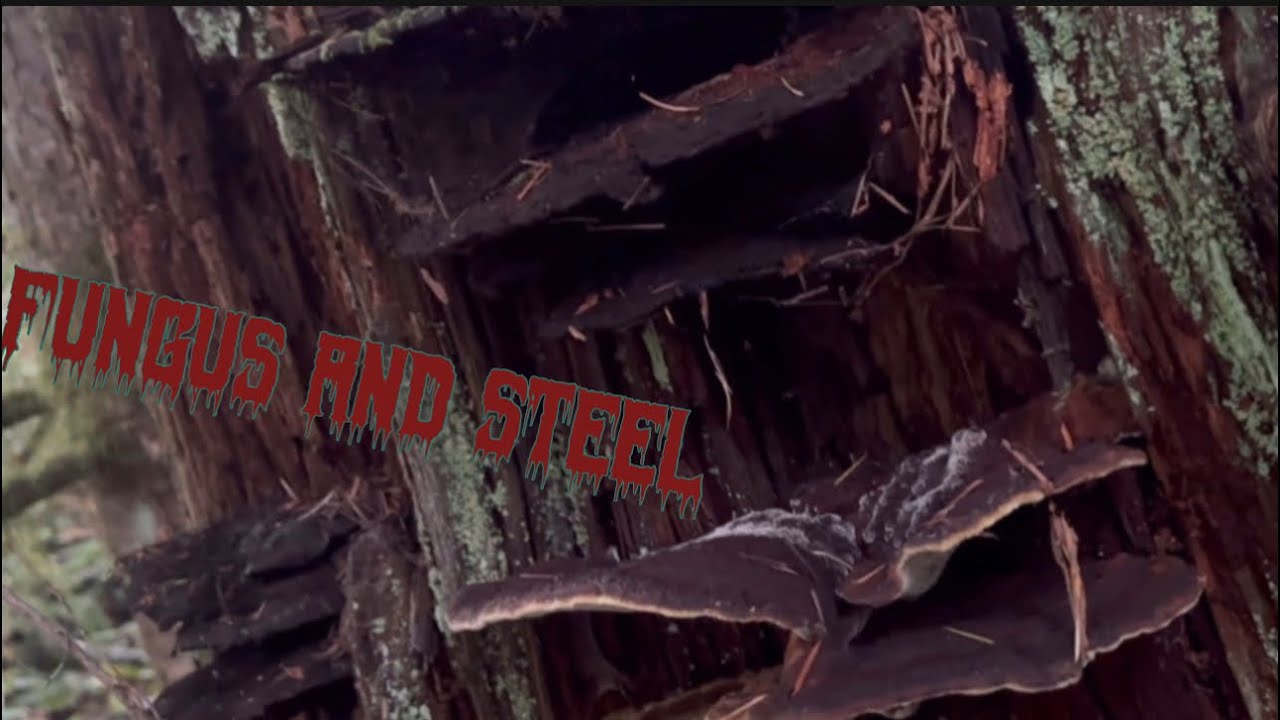 Fungus and steel