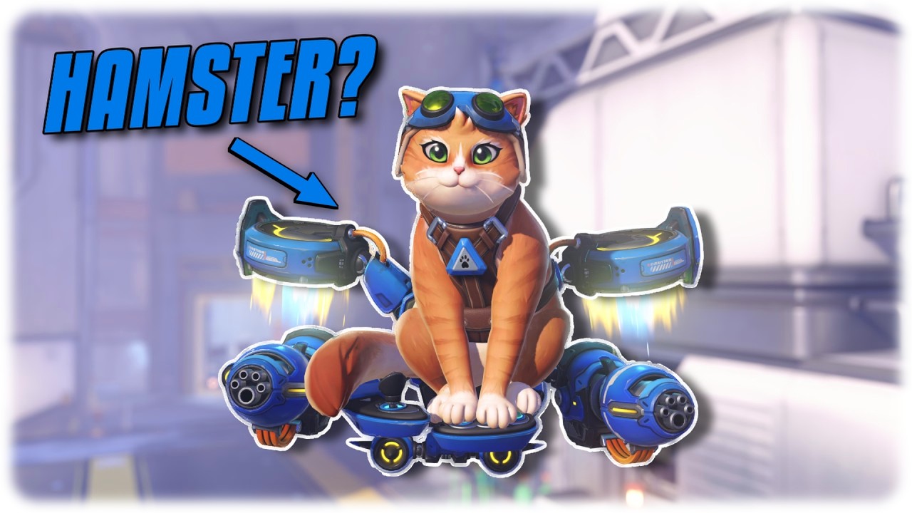 Overwatch Season 1 Added A Cat with a Jetpack!?!