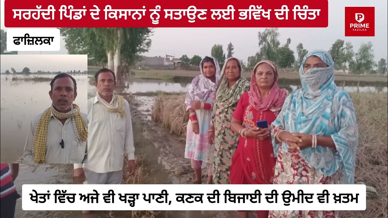Fazilka:-ਹੜ੍ਹ ਕਾਰਨ ਹੋਈ ਤਬਾਹੀ ਤੋਂ ਬਾਅਦ ਸਰਹੱਦੀ ਪਿੰਡਾਂ ਦੇ ਕਿਸਾਨਾਂ ਦਾ ਭਵਿੱਖ ਧੁੰਦਲਾ, ਖੇਤਾਂ ਵਿੱਚ ਖੜਾ ਪਾਣੀ