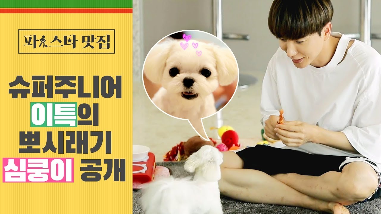 [파!스타 맛집] 슈퍼주니어 이특의 '세젤귀' 반려견 심쿵이 공개!
