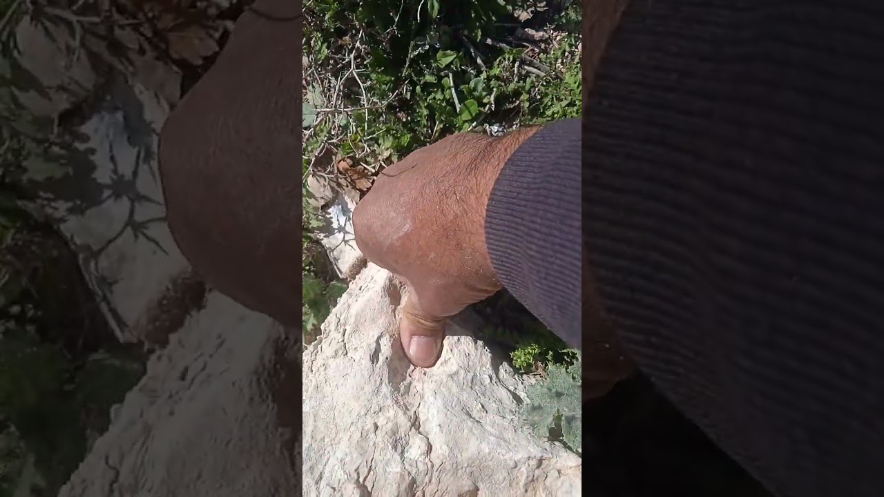 فحص قبر داخل مغاره مع تمويه 