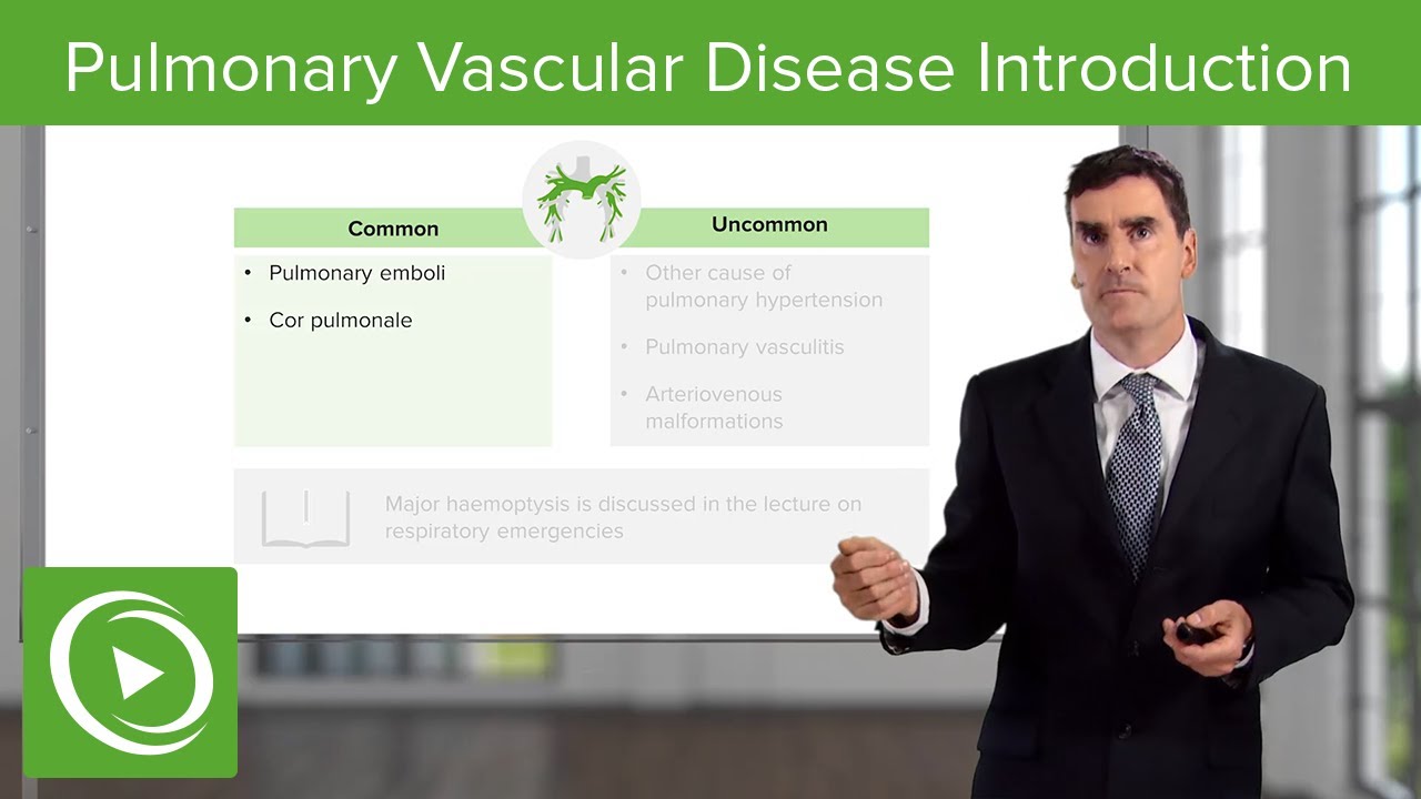Pulmonary Vascular Disease: Introduction – Respiratory Medicine | Lecturio