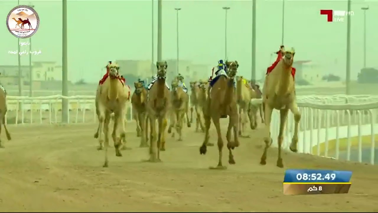 الشوط 2 .. 