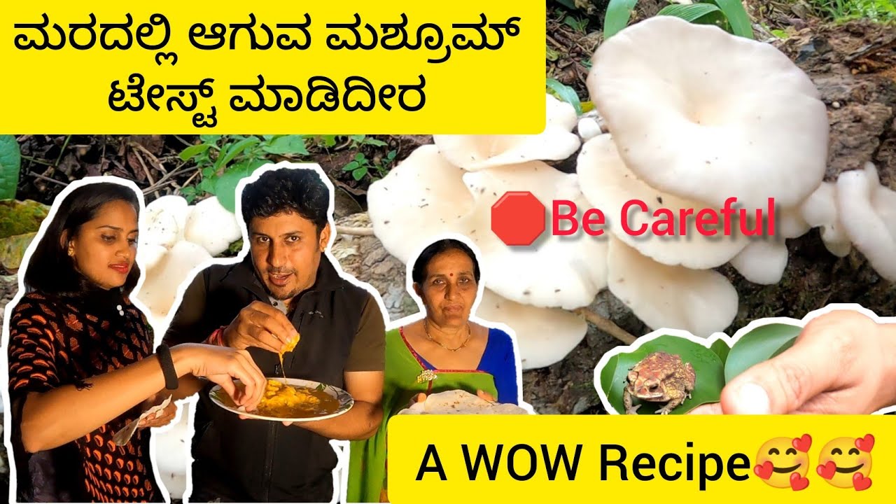 Wild Mushroom | Village Cooking | Coorg Recipe | Home Made