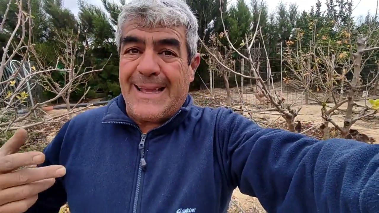 Aclarando dudas sobre la poda de cerezos manzanos y perales