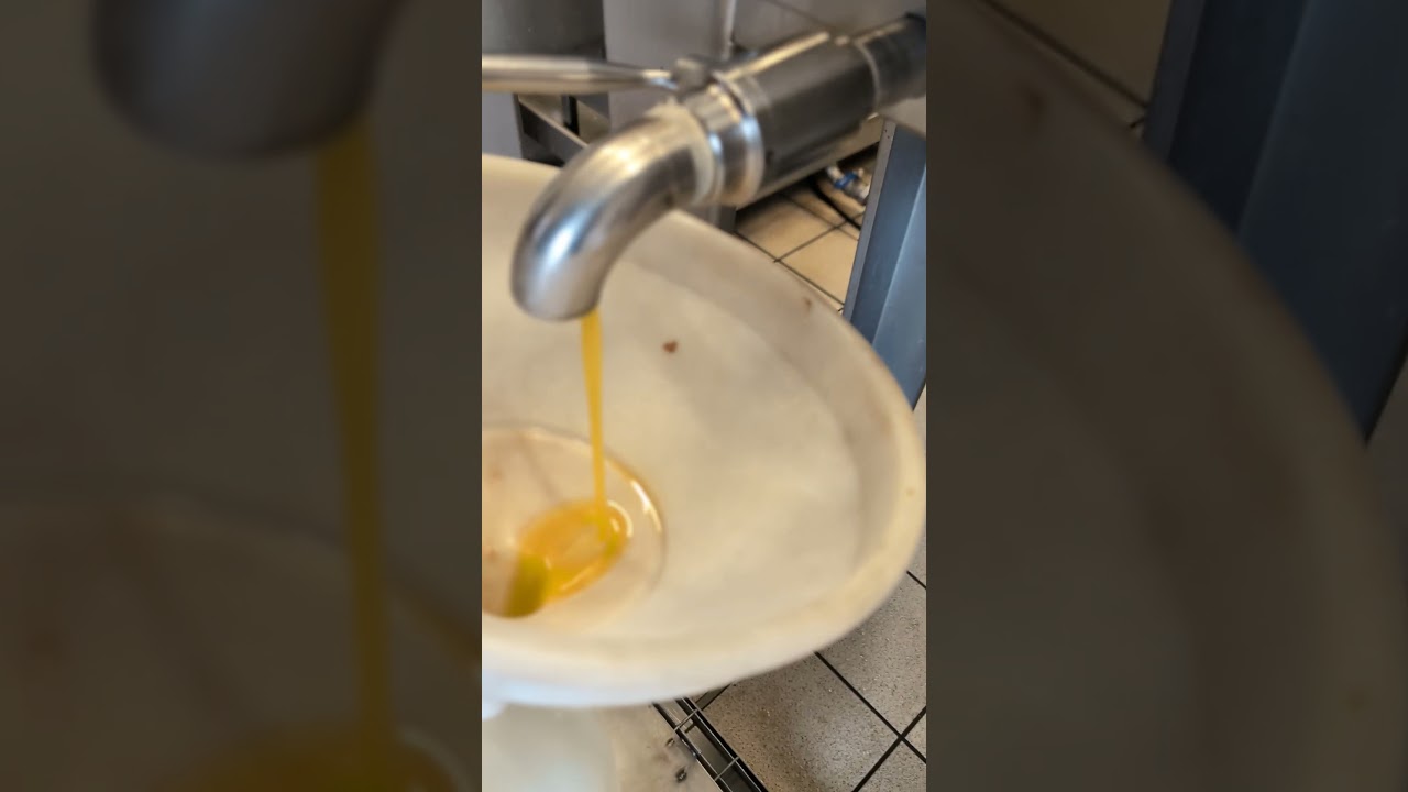 Olio nuovo pronto: il frantoio consegna il suo oro toscano 
