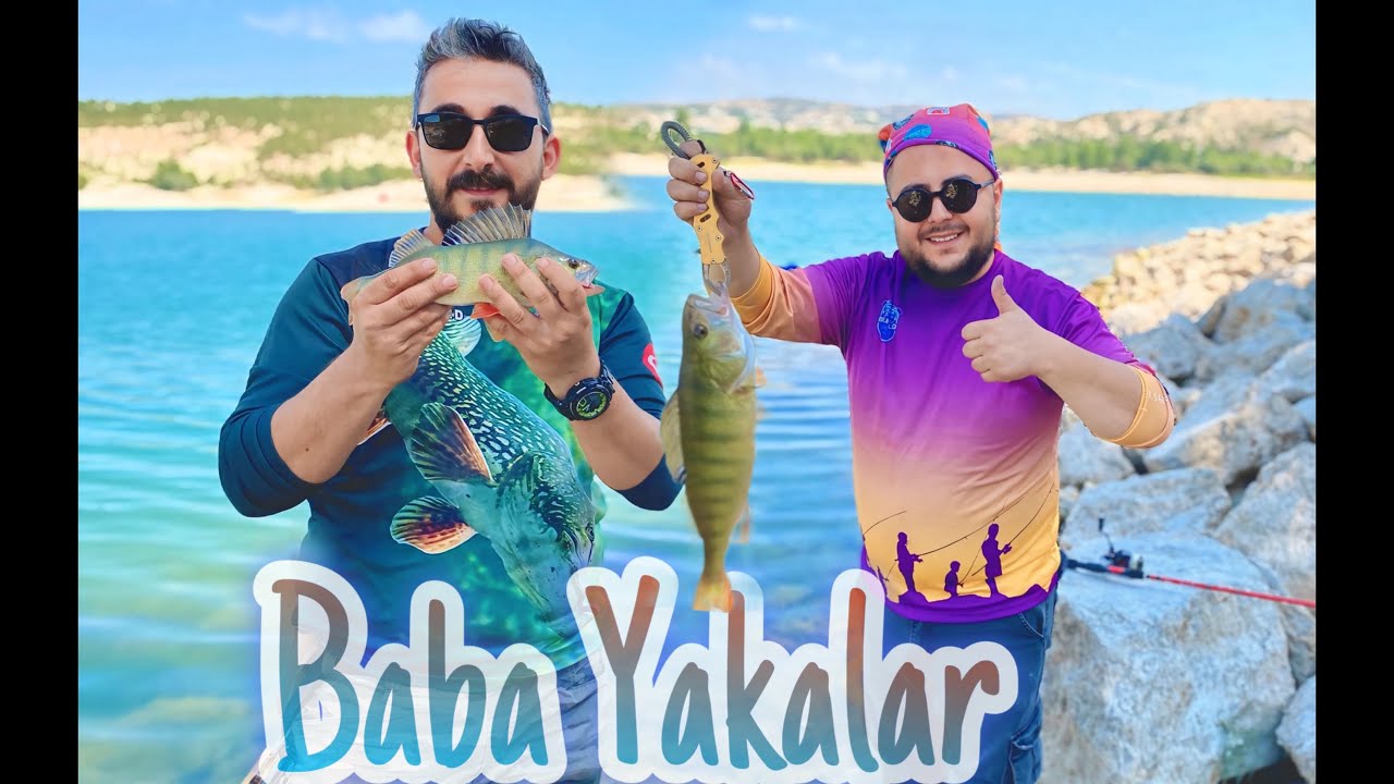 ALTIN APADA PERCH AVI