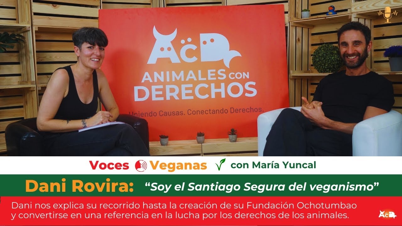 Dani Rovira en Voces Veganas: 