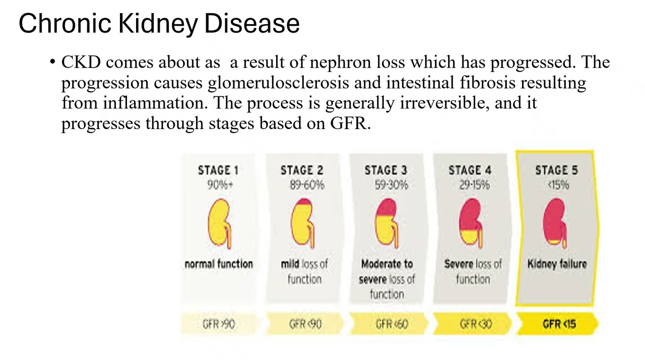 Chronic Kidney Disease 1