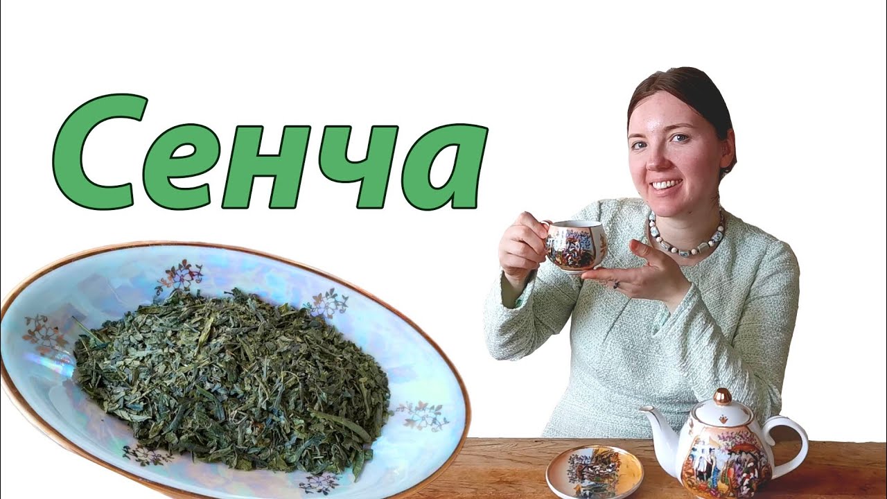 Сенча - все секреты знаменитого японского чая.