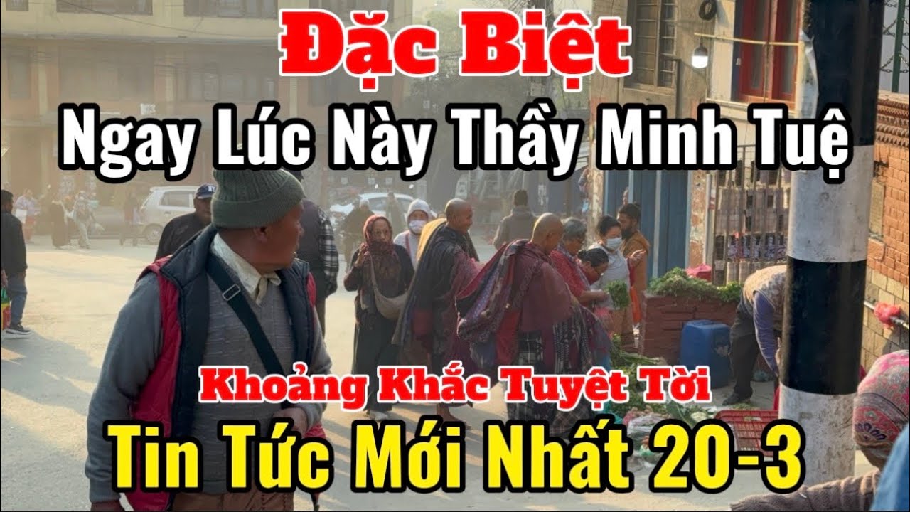 Thầy Minh Tuệ Đây Rồi | Khoảng Khắc Đẹp Cùng Tất Cả Các Sư Phụ Tại Tháp Khỉ Ngay Lúc Này #suminhtue 