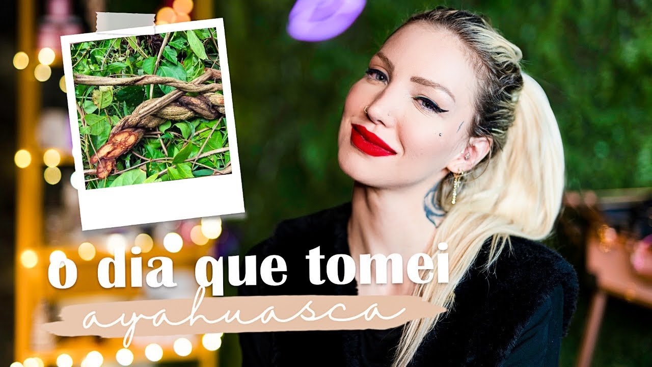 POR QUE PAREI DE COMER CARNE?