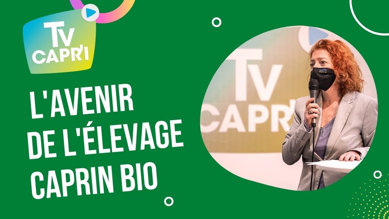 #CapriTV2021