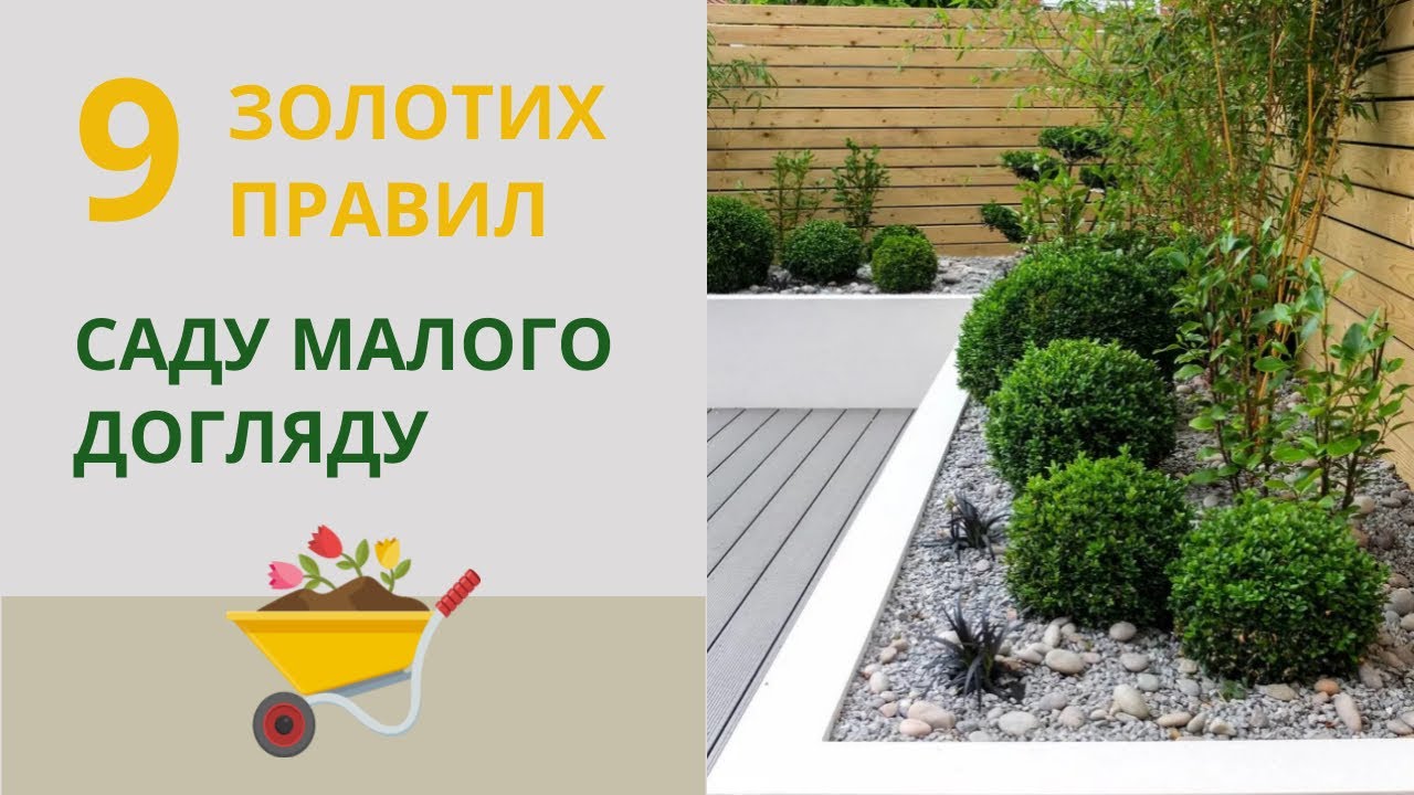 Малоуходный сад: простые правила