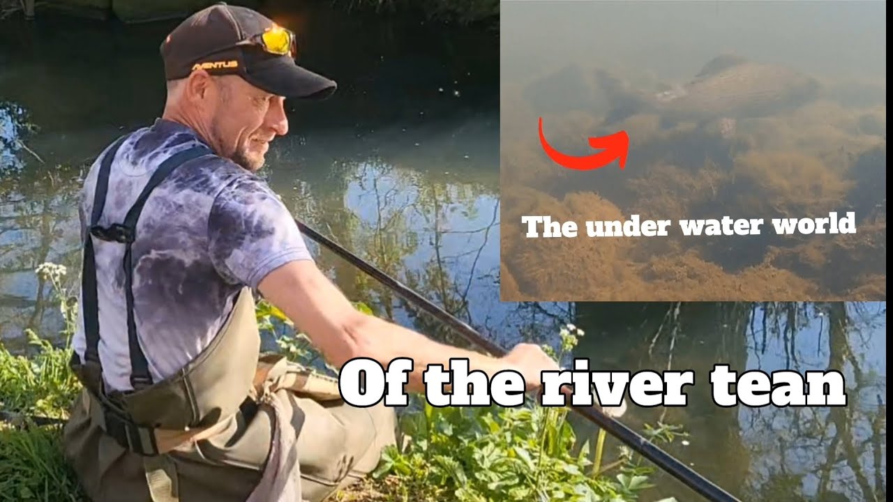 The underwater life of the river tean #underwaterfootage #angling #fishing