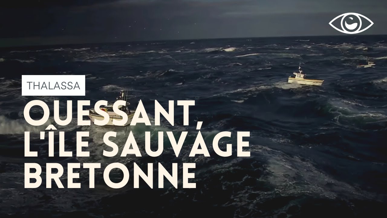 Ouessant, l'île sauvage bretonne - Thalassa