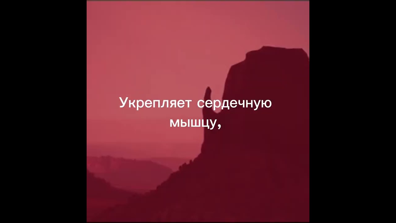 25 февраля 2026 г.