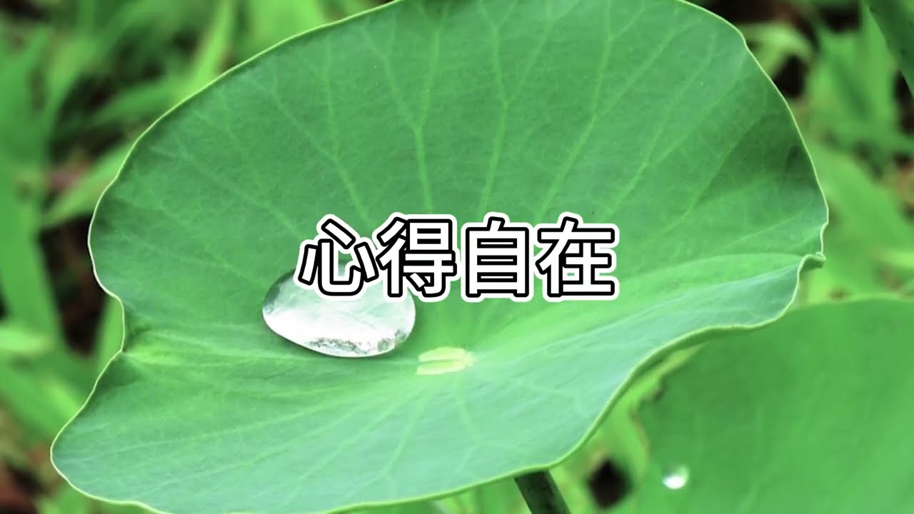 【字幕】 未修為的麻瓜，可以幸福一百年。我們修心，都是一百年。兩者有何區別？ |  阿贊耀答問 2025-11-29 （廣東話）
