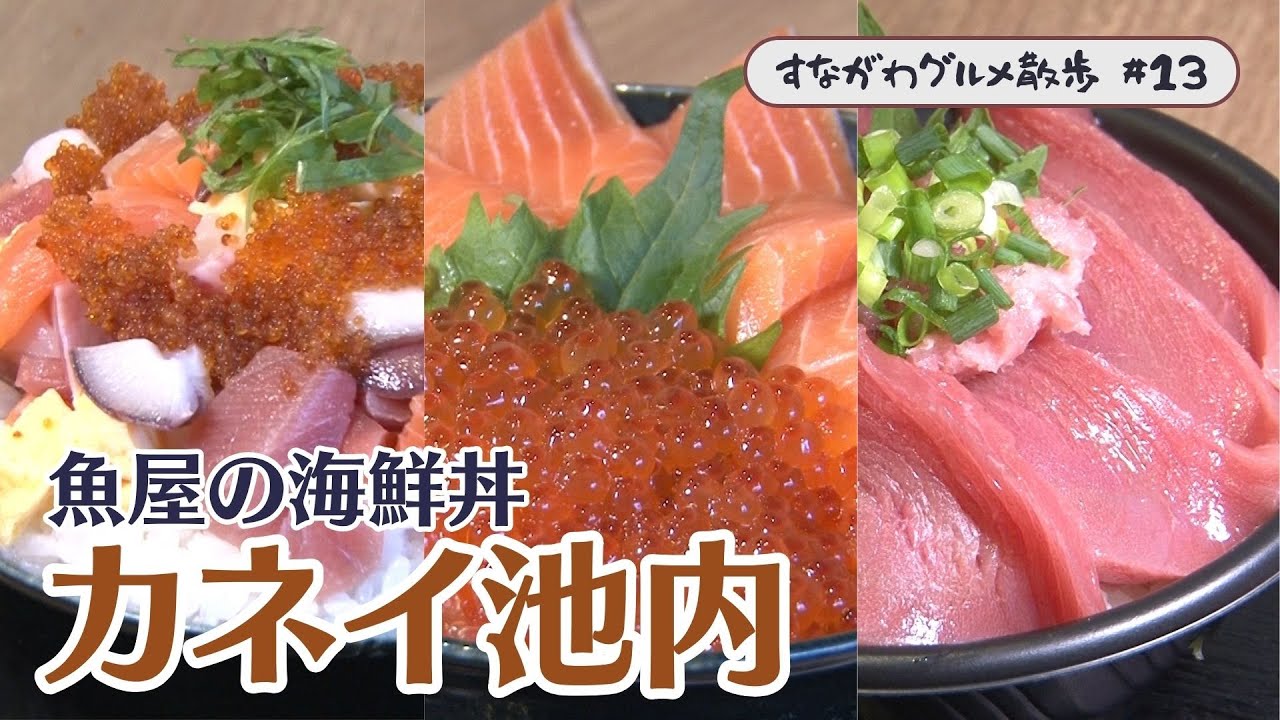 【カネイ池内】73年続く魚屋直営の海鮮丼 すながわグルメ散歩#13