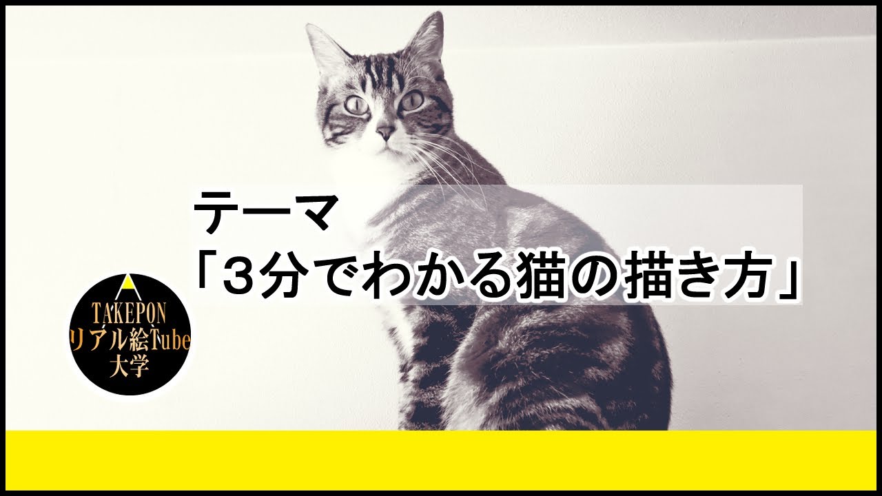 5分でわかる猫の描き方【絵の描き方】ー中学校の美術で使える動物スケッチの書き方のコツ