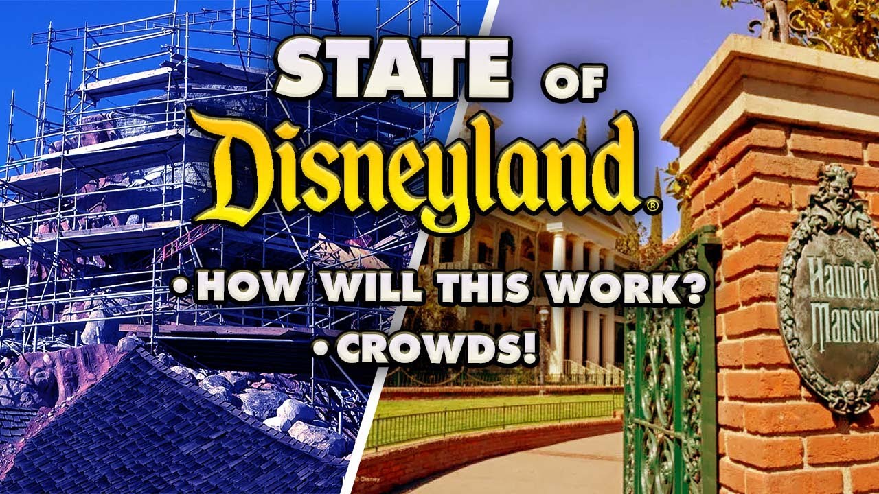 Positive VIBES at Disneyland | State of Disneyland Report 2023-12-15